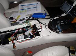 catoninetails-07-testing-parrot-01.jpg