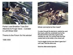 Partial Load Breather Tube Connection Question-partial-load-breather-tube-mystery-tube.jpg