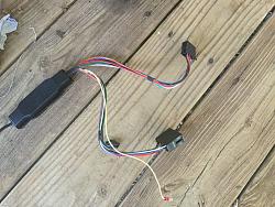 Parrot ck3100-image.jpeg