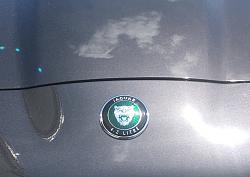 2006 XK8 "Signature Edition" vs "Victory Edition"-jag-hood.jpeg