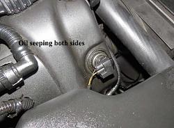 Oil Seeping from These on New Ride-oilseeping.jpg