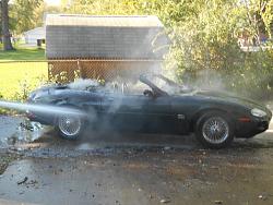 Very bad day-dscn1082.jpg