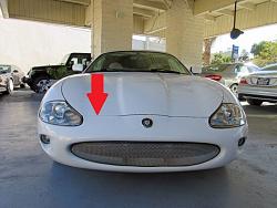 couple questions before buying xk8 this weekend-xk8_1.jpg