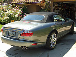 Inner rear left tire-resize-dscf6875.jpg