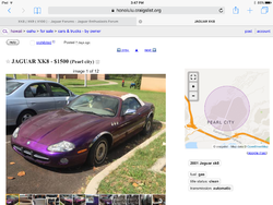 Sad Sight on the Side of the Road-image.png