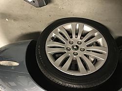 New Center Caps-img_5266.jpg