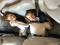 Alternative to child safety seat-img_0147.jpg