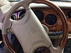 Paint or leather conditioner?-rat.jpg