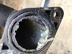 Coolant sludge? In hoses-img_1647.jpg