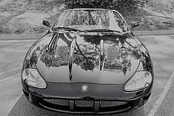 Wow us with your XK8/R photos-b-w.jpg