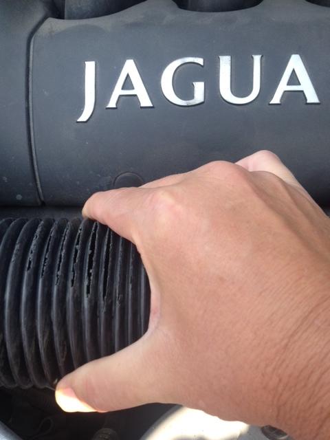 Name: jagtube_zps7da46bae.jpg
Views: 241
Size: 31.8 KB