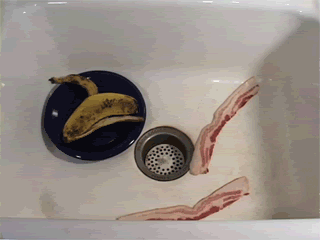 Name:  animatedbacon.gif
Views: 54
Size:  1.45 MB