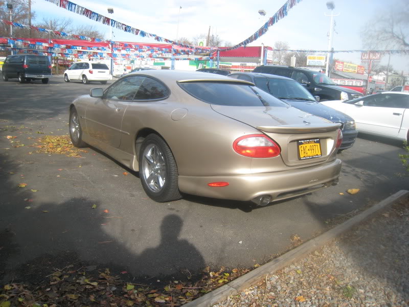 Name:  IMG_0927.jpg
Views: 182
Size:  102.0 KB