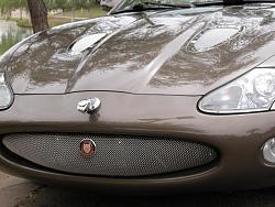 2001 XKR pictures of reconditioning.-xkr-hood1.jpg