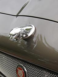2001 XKR pictures of reconditioning.-xkr-hood2.jpg