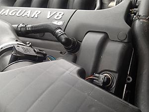 Minor oil leak-image.jpeg