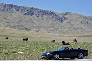 Wow us with your XK8/R photos-30171630_10157416538809899_721699232814403350_o.jpg