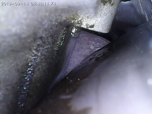 "It's less of an oil leak, more like, oil that has leaked."-e48spsc.png