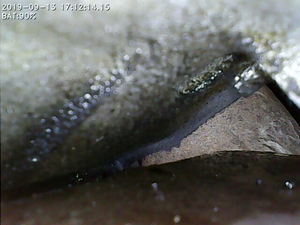 "It's less of an oil leak, more like, oil that has leaked."-g3p6dwr.png