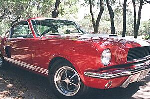 Hold onto your XKR!-of0nk6a.jpg