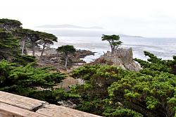 Pebble Beach Auto Week-23.jpg