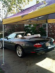 coupe or convertable which did you choose-photo-jag-back.jpg