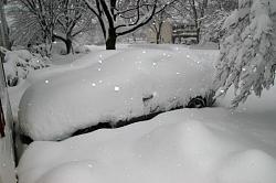 Playing in the snow-dsc_4230aw.jpg
