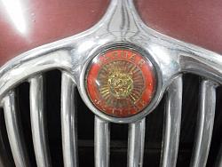 Barn Find?-031-800x600-.jpg