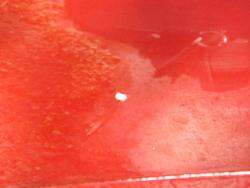 paint chip repair-dscf0763-640x480-.jpg
