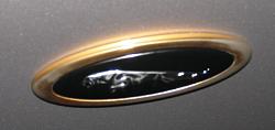 Gold &quot;Silverstone&quot;-jag1a.jpg