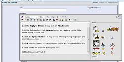 How do you post pictures?-pic-6.jpg