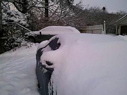 Winter Grumpy-winter-wonderland.jpg