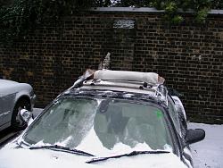 Roof slashed to pieces by vandels, advice please-sany1009.jpg