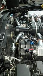 CRAZY...CRAZY...CRAZY! buckhead-imports.com-buckhead-imports3_n.jpg