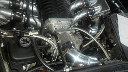 CRAZY...CRAZY...CRAZY! buckhead-imports.com-buckhead-imports3_o.jpg