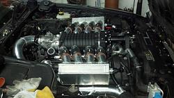 CRAZY...CRAZY...CRAZY! buckhead-imports.com-buckhead_imports_o.jpg
