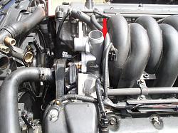 Alum Thermostat Housing &amp; Fuel Rail-thermostat.jpg