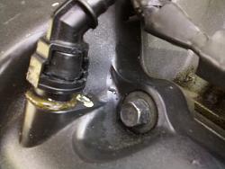 VVT seal leaking oil AGAIN!!!-0220131350.jpg