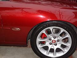 Painted Calipers-dscf0943-800x600-.jpg