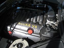 Chain tensioners replaced-img_2762.jpg