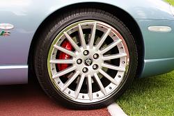 Painted Calipers-calipers.jpg
