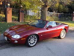 Never seen a red color XK-dscf0810-640x480-.jpg