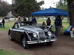 jaguar car shows-dscf1013-800x600-.jpg
