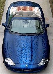 Yes or No to this color scheme ?-blue-spotted-jag.jpg