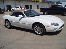 Tinted windows?-a11511-011.jpg