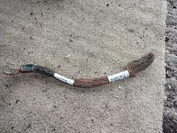 engine earth strap-earthlead3.jpg