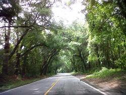 Where did you drive in your XK8/R today?-img-20130622-00140.jpg