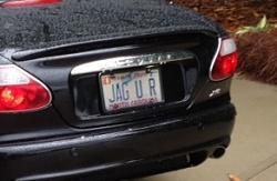 Nice plate-image.jpg