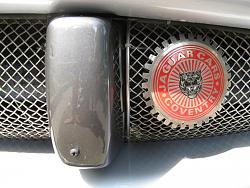 Front License - Any Good Solution?-img_1603.jpg