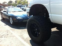 Mini Me?-img_0471.jpg